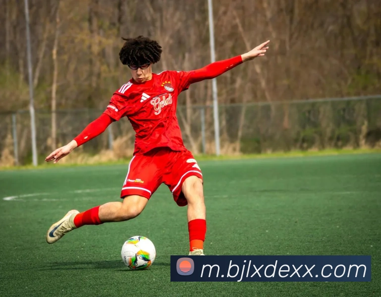 百家乐网站平台生态图