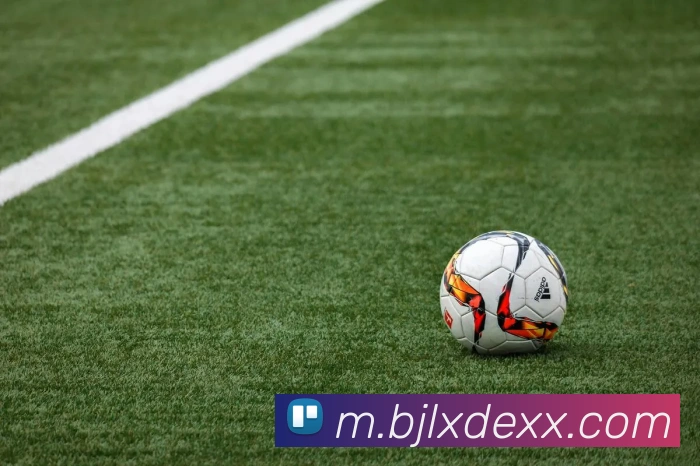 百家乐网站APP 封面图